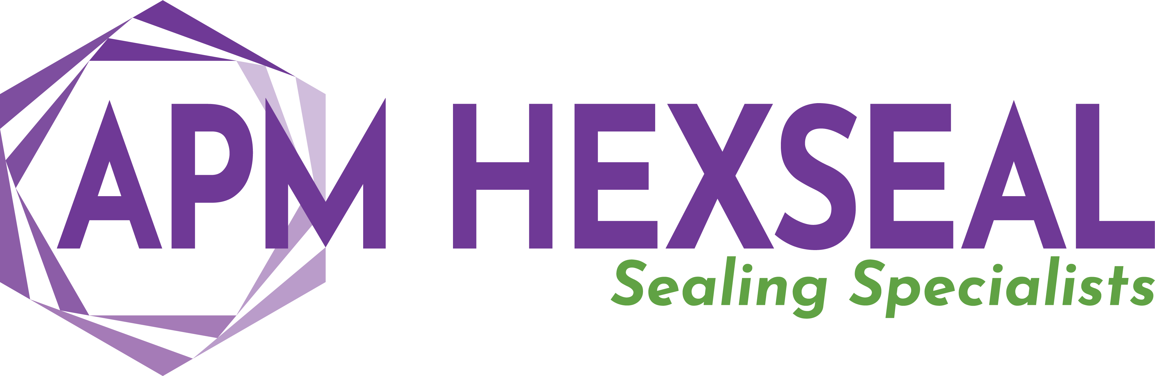 APM Hexseal LOGO